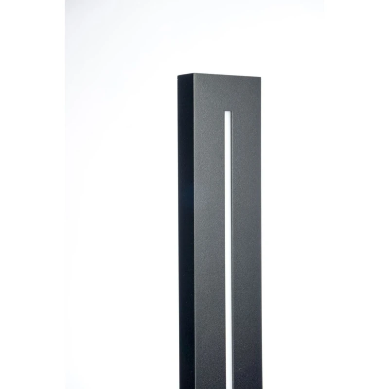 LANGER LGD-810 lampa elewacyjna LED do ogrodu