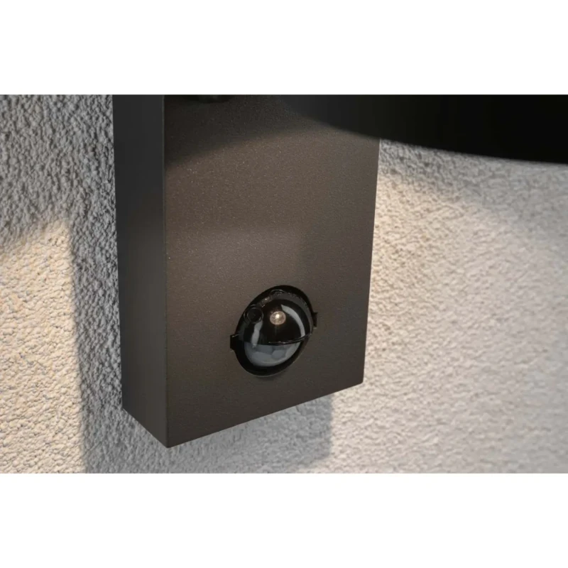 CAPEA lampa ścienna zewnętrzna z czujnikiem ruchu i zmierzchu Paulmann