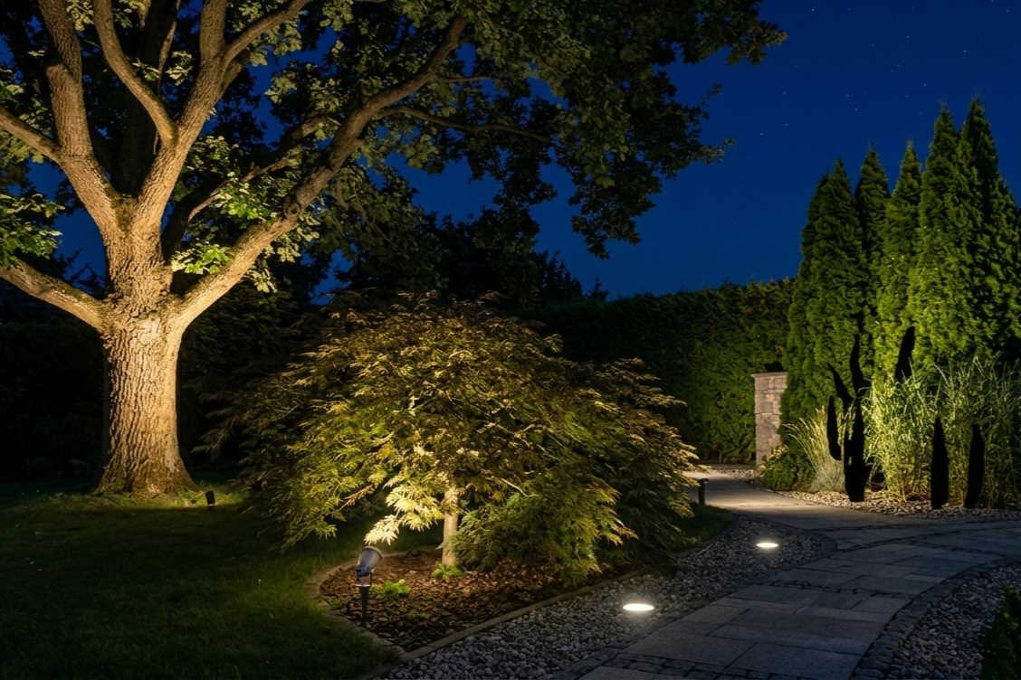 Jak oświetlić drzewa i krzewy w ogrodzie? Wykorzystanie reflektorów ogrodowych LED